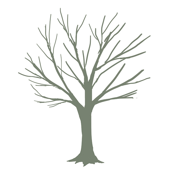 【15分で描ける！木の描き方】クリスタで簡単に描けるコツを紹介 | FUNAYU-visual lab