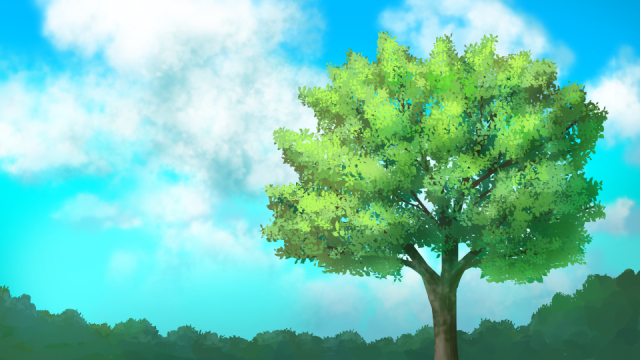 15分で描ける 木の描き方 クリスタで簡単に描けるコツを紹介 Funayu Visual Lab